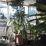 Ristorante Lucciola 2*