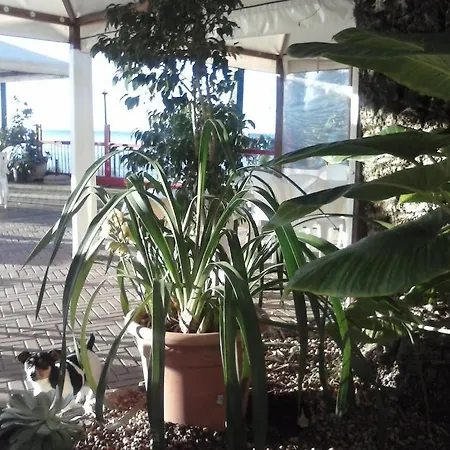 Ristorante Lucciola 2*