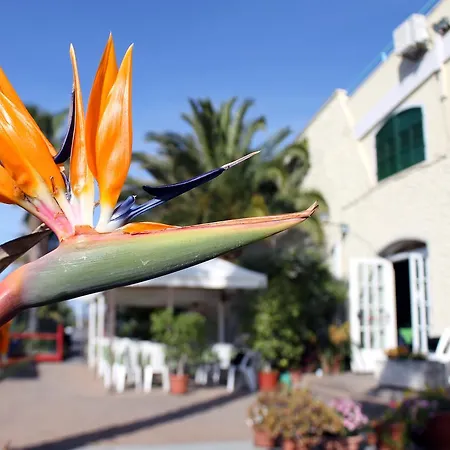 호텔 Ristorante Lucciola 산토스테파노알마레