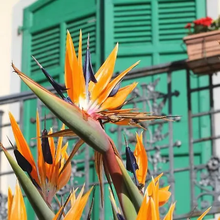 Ξενοδοχείο Ristorante Lucciola 2*