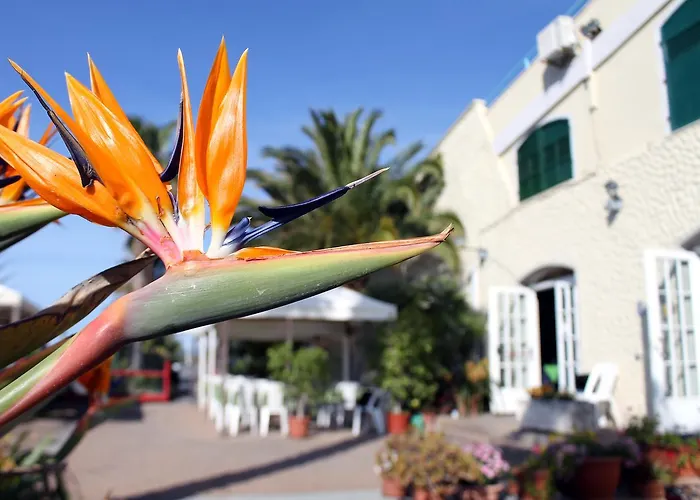 Hotel Ristorante Lucciola Santo Stefano al Mare